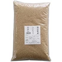 福井県産コシヒカリ 玄米　9.5㌔×2袋　6年産 Amazon.co.jp: 玄米 福井県産コシヒカリ 令和6年産(5kg) : 食品